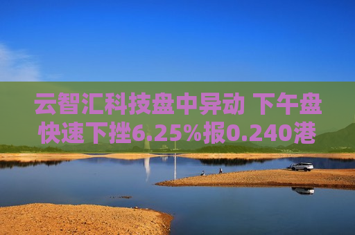 云智汇科技盘中异动 下午盘快速下挫6.25%报0.240港元