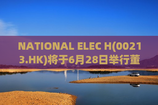 NATIONAL ELEC H(00213.HK)将于6月28日举行董事会会议以审批年度业绩