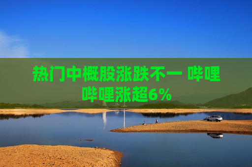 热门中概股涨跌不一 哔哩哔哩涨超6%  第1张