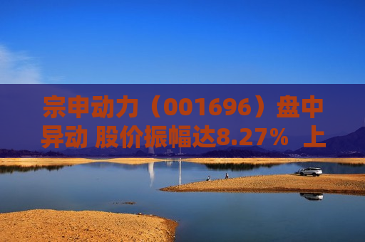 宗申动力（001696）盘中异动 股价振幅达8.27%  上涨8.02%（06-18）