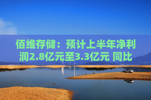 佰维存储：预计上半年净利润2.8亿元至3.3亿元 同比扭亏  第1张