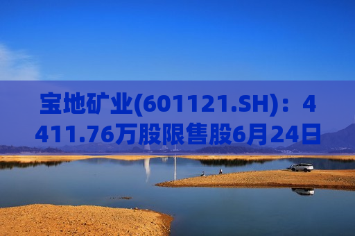 宝地矿业(601121.SH)：4411.76万股限售股6月24日解禁  第1张