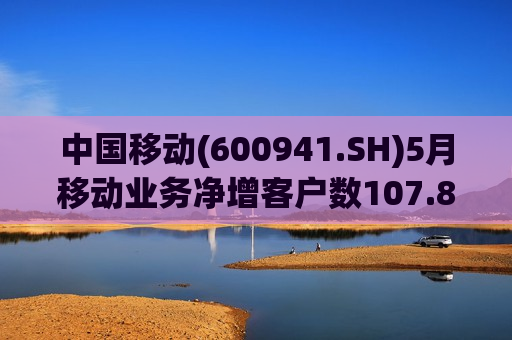 中国移动(600941.SH)5月移动业务净增客户数107.8万户  第1张