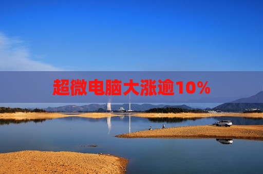 超微电脑大涨逾10%