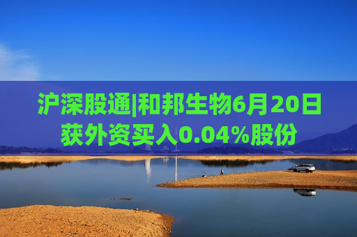 沪深股通|和邦生物6月20日获外资买入0.04%股份