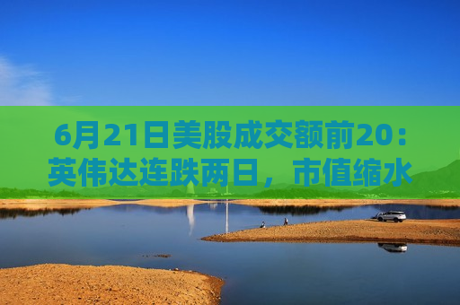 6月21日美股成交额前20：英伟达连跌两日，市值缩水超2200亿美元  第1张