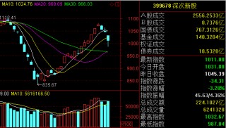 地产股震荡走低大名城跌停(600094大名城是地雷股)