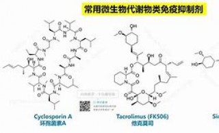 包含捷灵亚盐酸芬戈莫德不良反应的词条