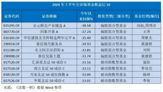 2024已过半，投什么基金最挣钱？