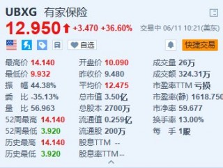 美股异动｜有家保险续涨36.6% 该股昨日大幅上涨超28%