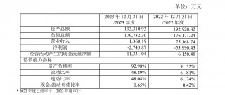 4800万股被司法拍卖！“神童”谢宏还能拯救贝因美？