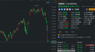 美股异动｜美国网络安全龙头CrowdStrike继续下跌8.7%