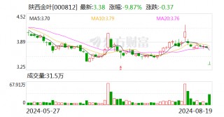 陕西金叶：2024年半年度净利润6316.31万元 同比增加37.61%