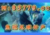 竞彩足球500万彩票网(竞彩足球500彩票网数据大厅)