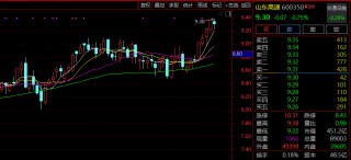 险资“买买买”！这一板块，多股逆势暴涨，创历史新高！