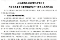 国内最大造纸企业之一突发公告！晨鸣纸业董事长夫妇同时辞职