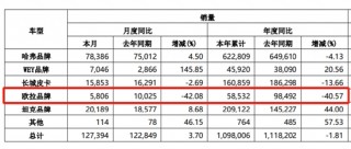 月销量暴跌42% “更爱女人”的长城欧拉，正被女性抛弃？ | 次世代车研所