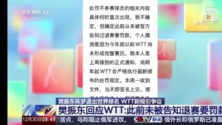 樊振东退赛处罚措施(樊振东退赛原因2017)