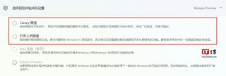 傻傻分不清楚，微软 Win11 最新 Canary 预览版被标记为“Dev”版本