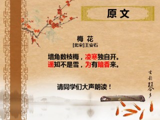 古诗梅花王安石(古诗梅花王安石的解释)