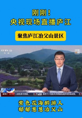 中央新闻13台在线直播cctv13(中央新闻13台在线直播 cctv13今天海峡两岸)