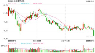 隆基绿能季度利润转负东南亚产线停产 又欲发债融资百亿再增理财额度