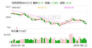 恺英网络：2024年半年度净利润约8.09亿元 同比增加11.72%