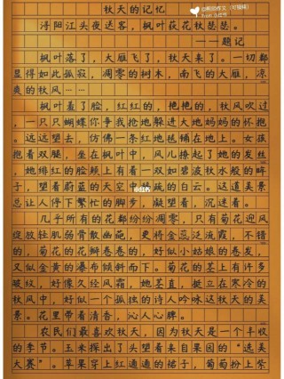 秋天的作文(秋天的作文200个字)