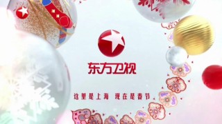 上海东方卫视在线播放观看表(上海东方卫视在线播放观看表演节目)