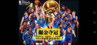 nba总冠军排行(NBA总冠军排行榜)