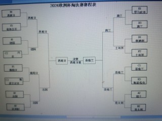 预测2016欧洲杯冠军(2016欧洲杯预选赛赛程结果表)