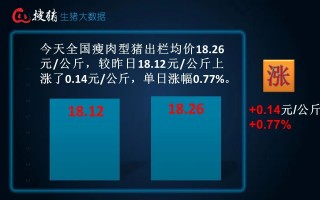 生猪现货日报|全国均价18.26元/公斤 出栏放缓 、二育截流适重猪源及多雨天气支撑猪价企稳走强