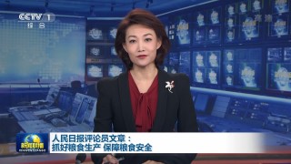 河南持续做好粮食安全大文章(抓好粮食生产 保障粮食安全心得体会)