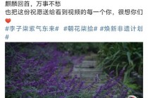 李子柒时隔三年更新视频，称“很想你们”