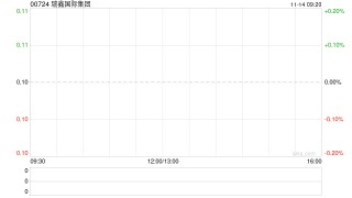 瑞鑫国际集团公布信永中和辞任核数师