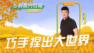 山东卫视直播(山东卫视直播在线观看免费)