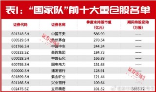 “国家队”又现异动！加仓这只消费电子龙头3800万股