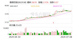 鹏鼎控股：6月合并营业收入为21.17亿元 同比增长24.11%