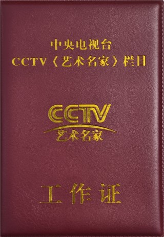 cctv官网(父母爱情电视剧cctv官网)