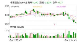 中国铝业：叶国华辞去监事会主席、股东代表监事职务