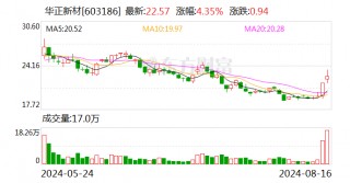 华正新材：2024年半年度净利润约997万元