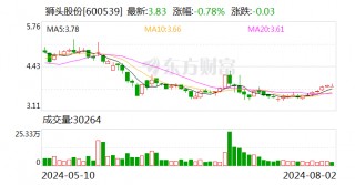 狮头股份收到山西证监局行政监管措施决定书