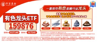 铜铝联袂领涨有色金属板块！洛阳钼业涨超6%，有色龙头ETF（159876）盘中涨逾2%冲击日线2连阳！