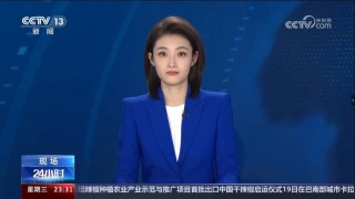 cctv13新闻在线直播(cctv13新闻在线直播官网)