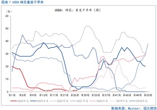 【棉花半年报】新年度供需矛盾清晰且提前交易，后期以扰动因素为主