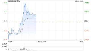 金辉控股早盘一度涨超7% 机构继续看好政策发力