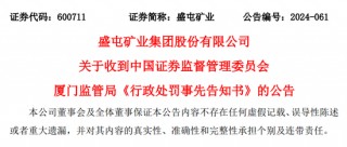 3家上市公司财务造假被处罚！