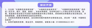 山东泰安：干旱墒情有缓解 棉苗长势较好