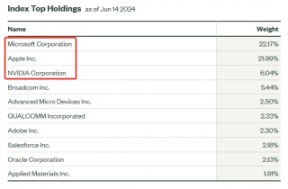 获顶级ETF发行商青睐 超百亿美元或将从苹果流入英伟达