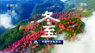 cctv1回放在线观看(cctv1在线观看回看2点)